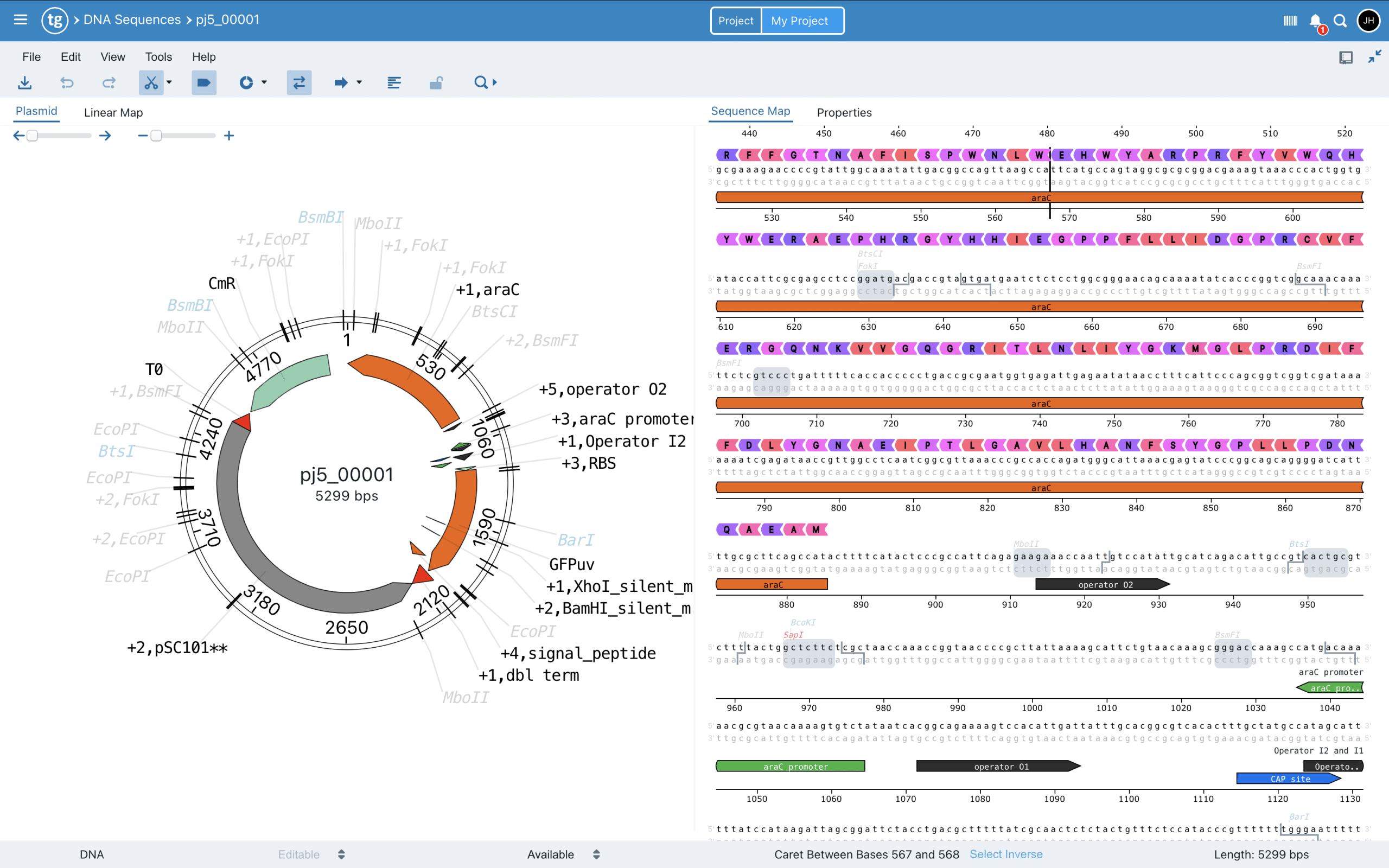 A screenshot of TeselaGen's Vector Editor